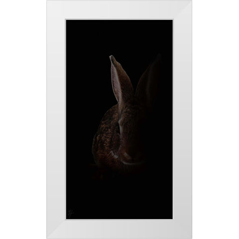 Wabbit White Modern Wood Framed Art Print by Murray Henderson Fine Art