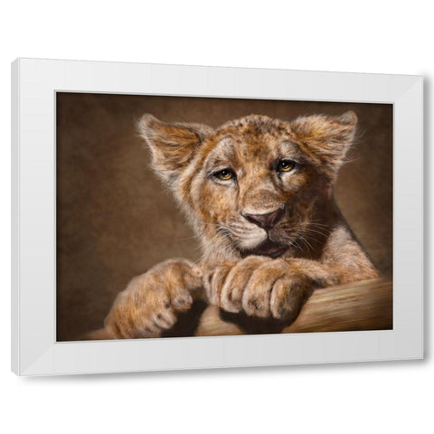 Lion Cub White Modern Wood Framed Art Print by LaMontagne, Patrick