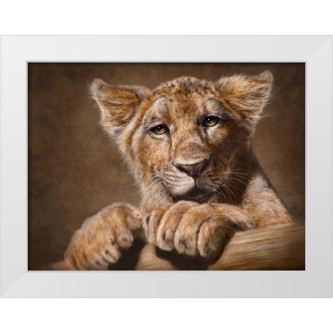 Lion Cub White Modern Wood Framed Art Print by LaMontagne, Patrick