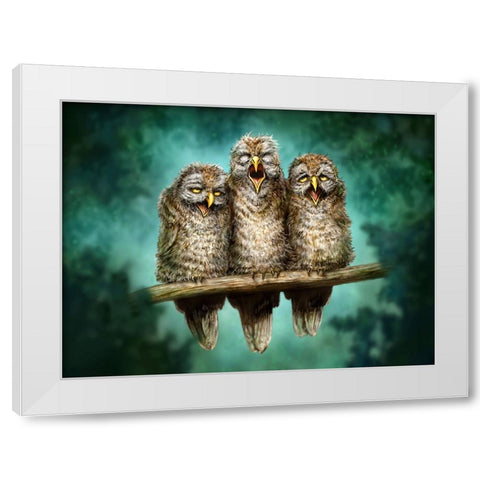 One Hoot Wonders White Modern Wood Framed Art Print by LaMontagne, Patrick