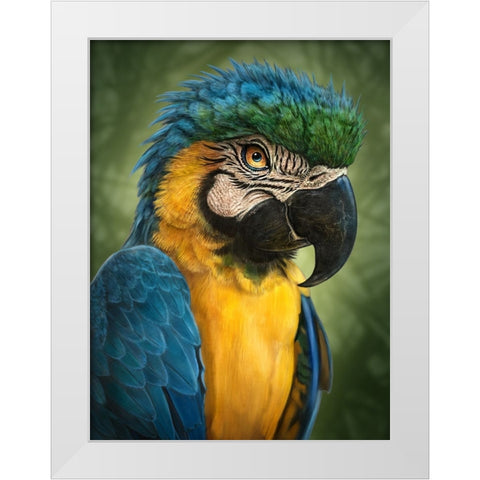 Parrot Totem White Modern Wood Framed Art Print by LaMontagne, Patrick