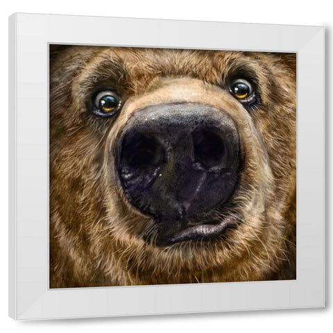 Kodiak Closeup White Modern Wood Framed Art Print by LaMontagne, Patrick