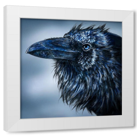 Blue Beak Raven White Modern Wood Framed Art Print by LaMontagne, Patrick