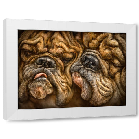 Wrinkles White Modern Wood Framed Art Print by LaMontagne, Patrick