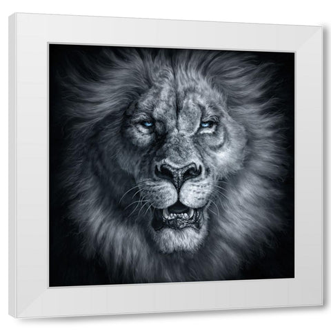 Sire White Modern Wood Framed Art Print by LaMontagne, Patrick