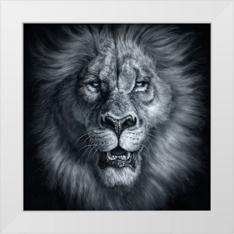 Sire White Modern Wood Framed Art Print by LaMontagne, Patrick