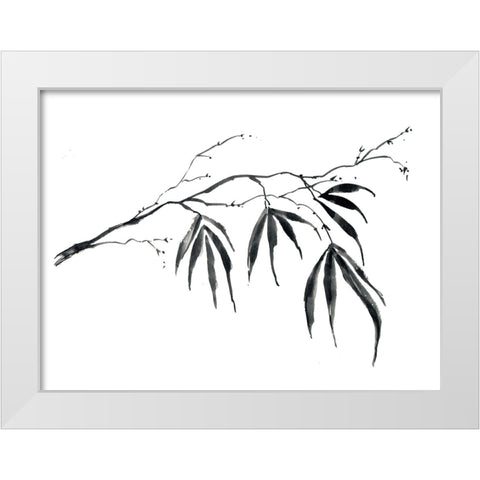 Tropical Branch White Modern Wood Framed Art Print by Randy Noble Fine Art