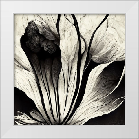 B003 Flowers Black White White Modern Wood Framed Art Print by Heere, Ray