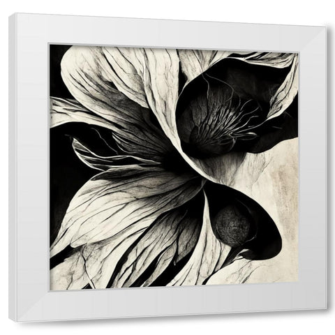 B020 Flowers Black White White Modern Wood Framed Art Print by Heere, Ray