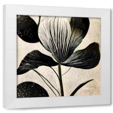 B026 Flowers Black White White Modern Wood Framed Art Print by Heere, Ray