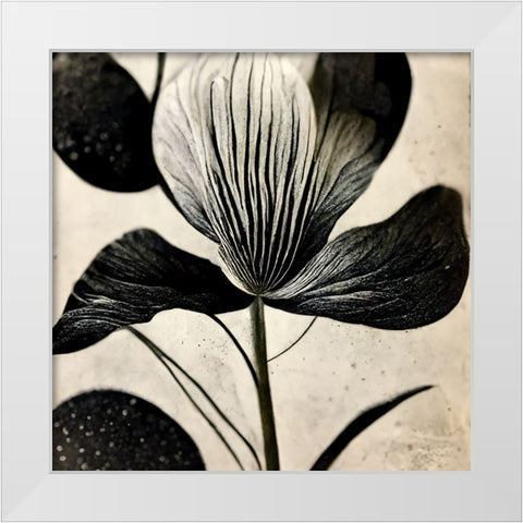B026 Flowers Black White White Modern Wood Framed Art Print by Heere, Ray