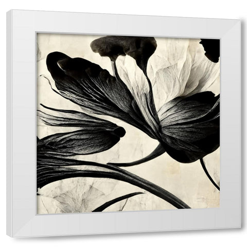 B033 Flowers Black White White Modern Wood Framed Art Print by Heere, Ray