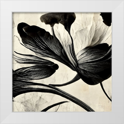 B033 Flowers Black White White Modern Wood Framed Art Print by Heere, Ray