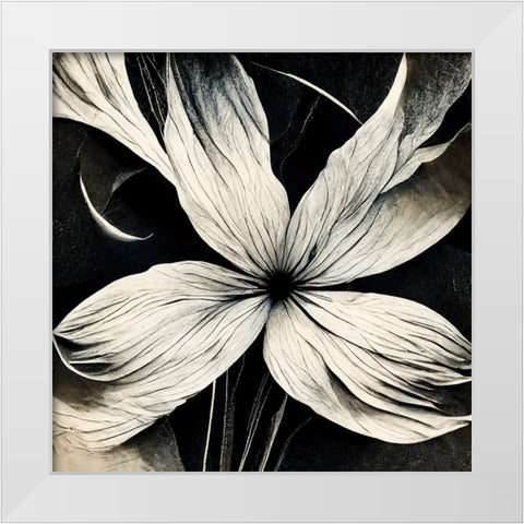 B036 Flowers Black White White Modern Wood Framed Art Print by Heere, Ray