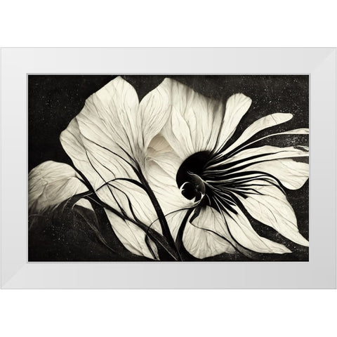 B037 Flowers Black White White Modern Wood Framed Art Print by Heere, Ray