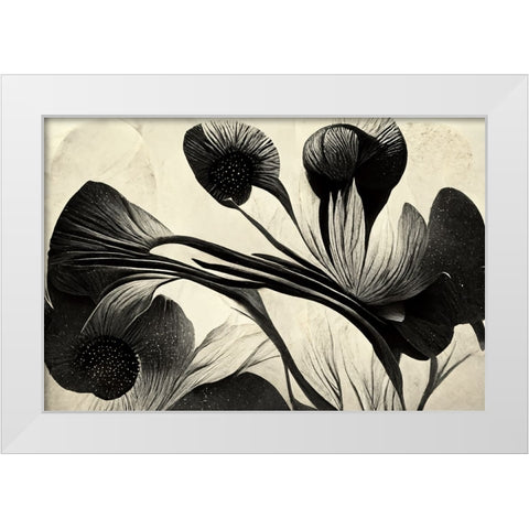 B049 Flowers Black White White Modern Wood Framed Art Print by Heere, Ray