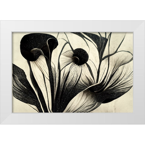 B062 Flowers Black White White Modern Wood Framed Art Print by Heere, Ray