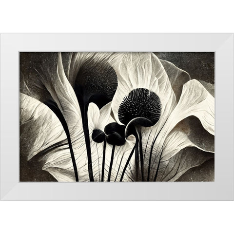 B064 Flowers Black White White Modern Wood Framed Art Print by Heere, Ray