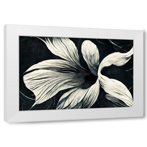 B070 Flowers Black White White Modern Wood Framed Art Print by Heere, Ray