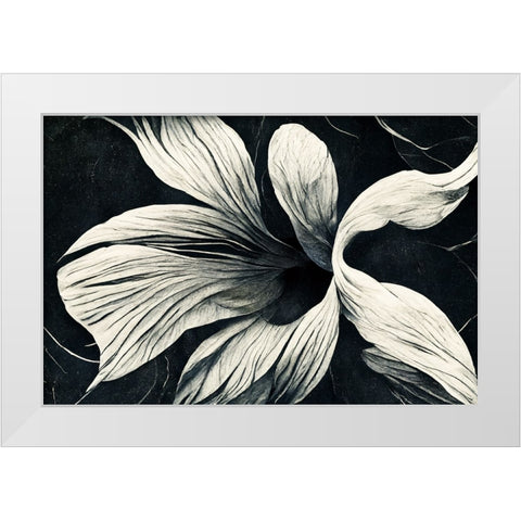B070 Flowers Black White White Modern Wood Framed Art Print by Heere, Ray