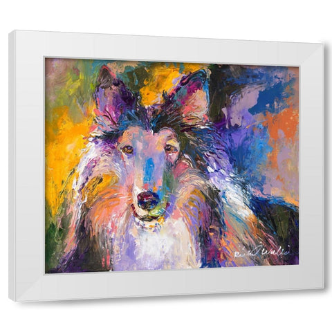 Collie White Modern Wood Framed Art Print by Wallich, Richard