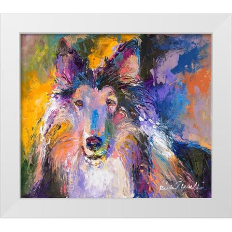 Collie White Modern Wood Framed Art Print by Wallich, Richard