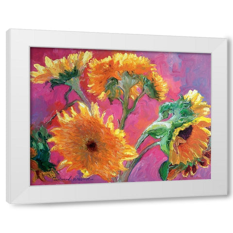 Sunflower White Modern Wood Framed Art Print by Wallich, Richard
