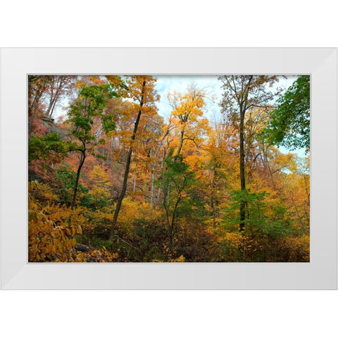 Inwood Manhattan Autumn White Modern Wood Framed Art Print by Goldwitz, Robert