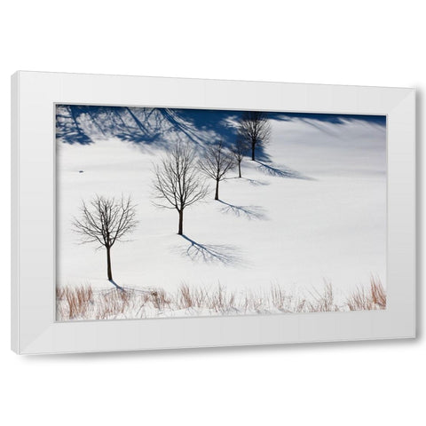Winter Field Silhouettes White Modern Wood Framed Art Print by Goldwitz, Robert