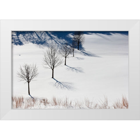 Winter Field Silhouettes White Modern Wood Framed Art Print by Goldwitz, Robert