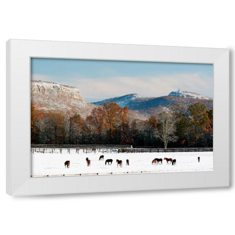 Early Snow Horse Paddock White Modern Wood Framed Art Print by Goldwitz, Robert