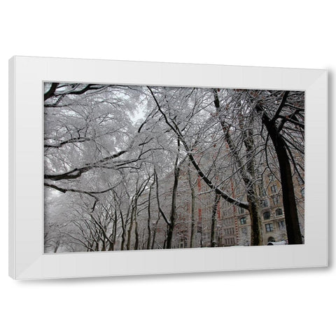 Snow Covered Trees Apartments White Modern Wood Framed Art Print by Goldwitz, Robert