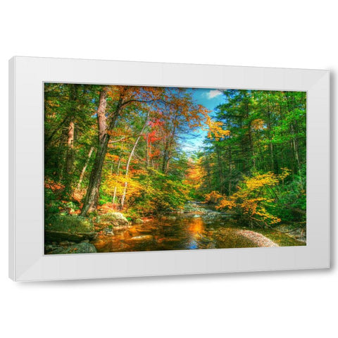 Autumn Brook White Modern Wood Framed Art Print by Goldwitz, Robert