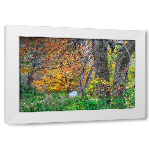 Autumn Shed White Modern Wood Framed Art Print by Goldwitz, Robert