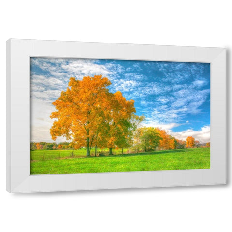 Autumn Tree Line White Modern Wood Framed Art Print by Goldwitz, Robert