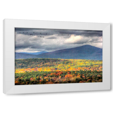 Flying South White Modern Wood Framed Art Print by Goldwitz, Robert