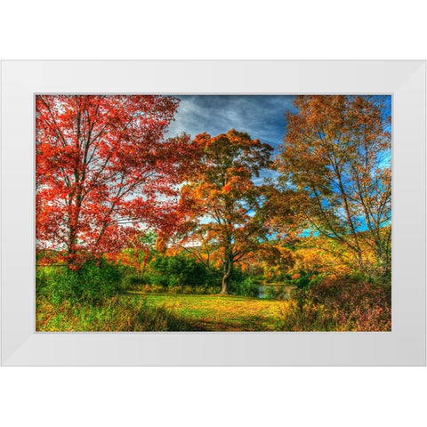 Tillson Lake Trees White Modern Wood Framed Art Print by Goldwitz, Robert