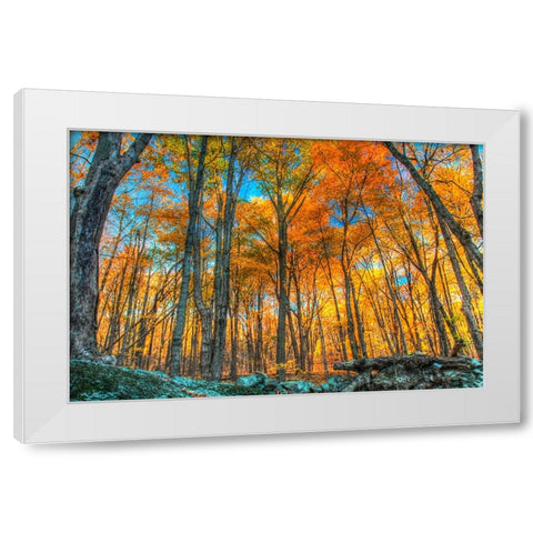 Winding Hills Park White Modern Wood Framed Art Print by Goldwitz, Robert