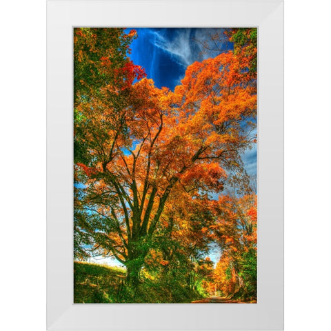 Autumn Borden Road Vertical White Modern Wood Framed Art Print by Goldwitz, Robert