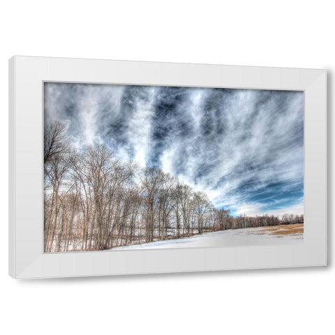 Winter Treeline White Modern Wood Framed Art Print by Goldwitz, Robert