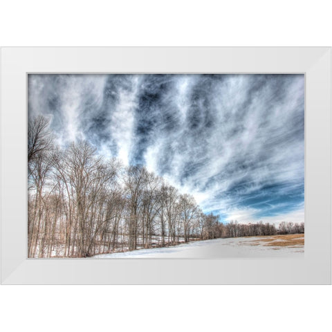 Winter Treeline White Modern Wood Framed Art Print by Goldwitz, Robert