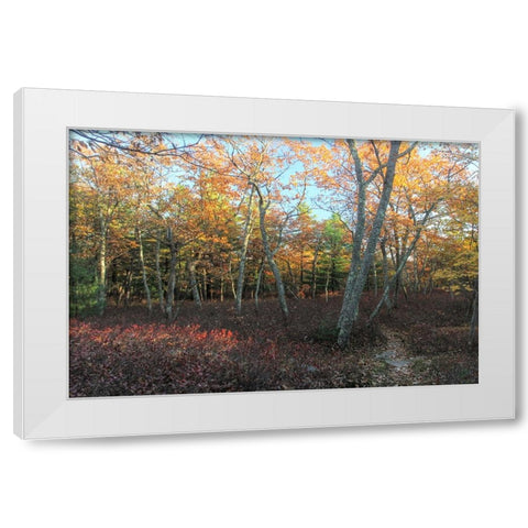 Late afternoon on the Ridge White Modern Wood Framed Art Print by Goldwitz, Robert