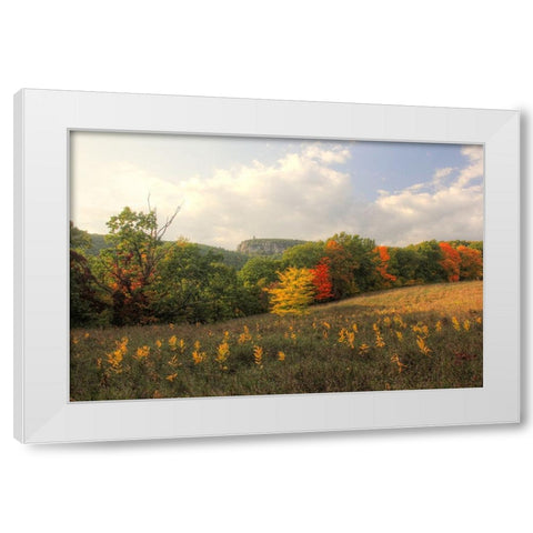 Mohonk Autumn White Modern Wood Framed Art Print by Goldwitz, Robert