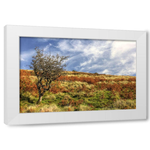 Wales Hillside and Sky White Modern Wood Framed Art Print by Goldwitz, Robert
