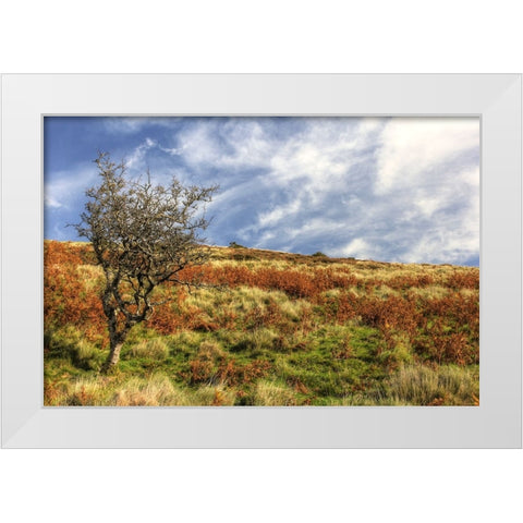 Wales Hillside and Sky White Modern Wood Framed Art Print by Goldwitz, Robert