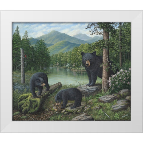 Watching The Cubs Play White Modern Wood Framed Art Print by Wavra, Robert