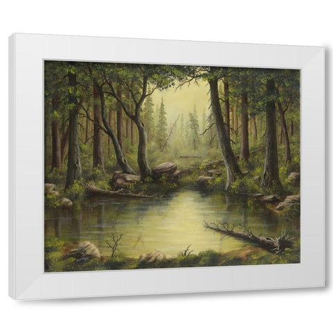 Evening at the Creek White Modern Wood Framed Art Print by Wavra, Robert