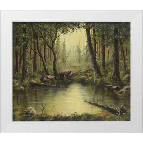 Evening at the Creek White Modern Wood Framed Art Print by Wavra, Robert