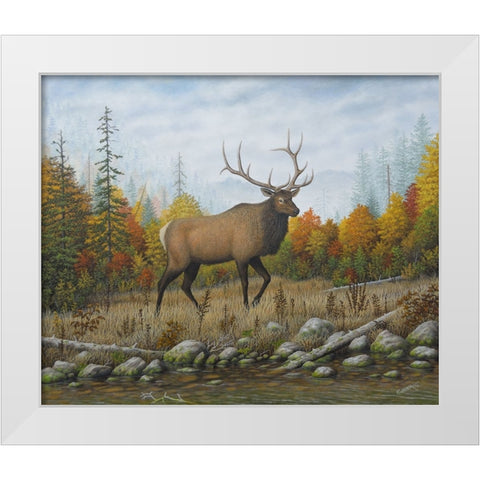 Autumn Elk White Modern Wood Framed Art Print by Wavra, Robert