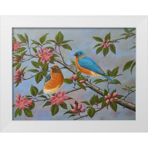 Bluebirds White Modern Wood Framed Art Print by Wavra, Robert